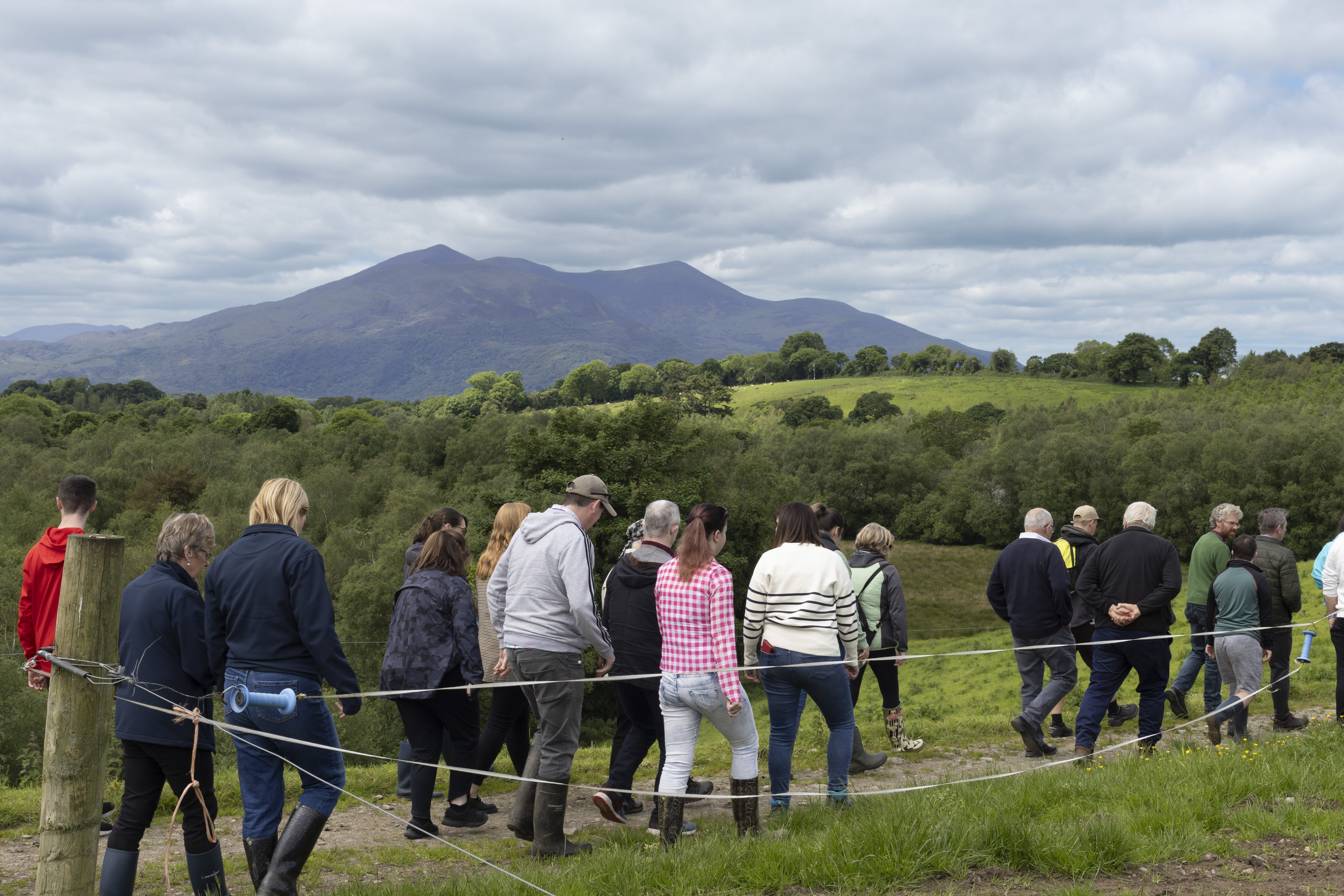 Kerry Social Farming